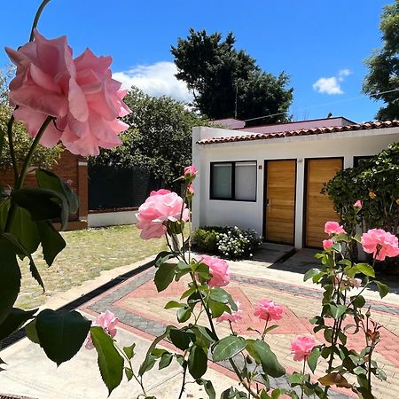 Villa Santa Julia オアハカ州 エクステリア 写真